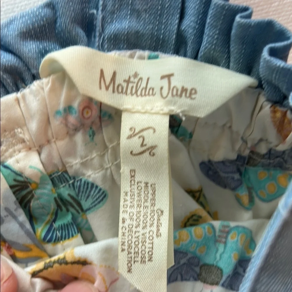 Matilda Jane 2Y Let’s Go Together Love Bug Butterfly Moth Dress Size 2